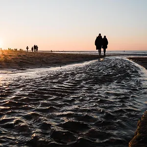 https://pier-view-ostend.hotelsghent.com